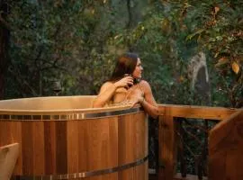 Log Cabin with Mountain View and Privacy