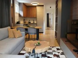 BESTBLICK Apartments Jahorina - apartmani na stazi