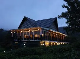 jungle view resort