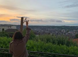 Studio calme et chaleureux, Ferienwohnung in Brive-la-Gaillarde