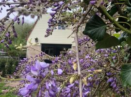 De Bosrand grenzend aan het bos
