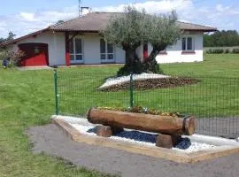 Jouanon