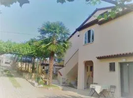 Apartments in Tar - Porec - Istrien 42546