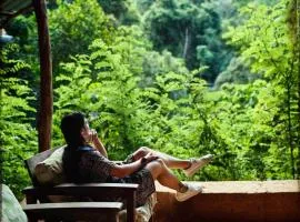 Chalet in the Jungle