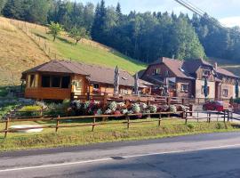 U Veselé lišky, homestay in Hutisko