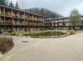 Apartmán Medvědín