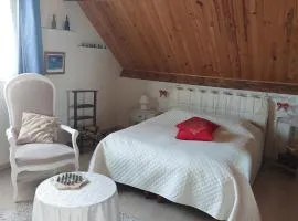 Tulipe24