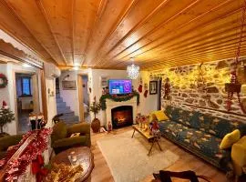 Renovated Old Manor House With Yard