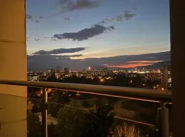 Skyline Retreat Apartment at Sky Towers with Spa and Fitness Access
