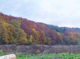 K85 Komańcza Baza Noclegowa Wypadowa Bieszczady Beskid Niski, hotel in Komańcza