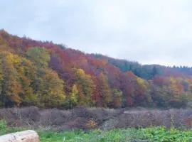 K85 Komańcza Baza Noclegowa Wypadowa Bieszczady Beskid Niski