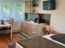 Apartment (2) am Stuttgarter Flughafen / Messe, מלון בליינפלדן-אכטרדינגן