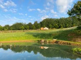 Bracken Yurt at Walnut Farm Glamping