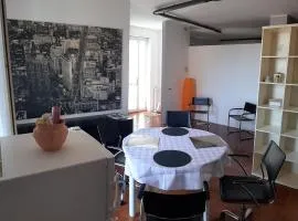 Volta 8