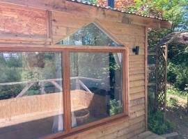 Honey Bee Cabin, pet-friendly hotel in Llandysul