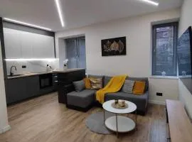 Apartament przy Filharmonii i KCK