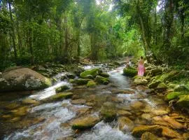 Cairns Rainforest Retreats