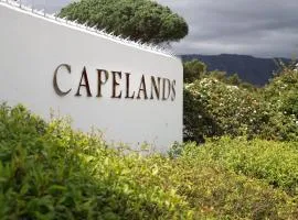 Capelands Resort, Italian Restaurant & Winery