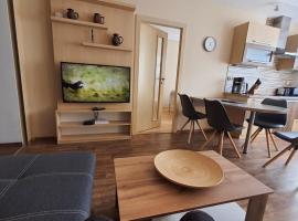 Apartmán U Pošty Králíky, viešbutis mieste Kralikai