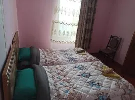 Cozy home