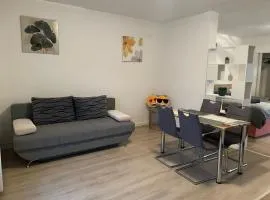 Studio apartman Happiness