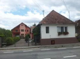 Căsuţa Andrey & Dan