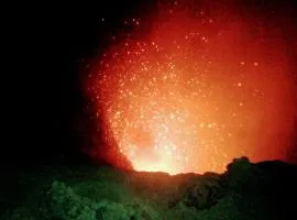 Glowing Mountain view tree house