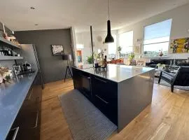 Modern and spacious 3 bedroom house, with fantastic view over Reykjavik.