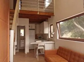 Vv CASA DEL ARBOL DE BIBIANA 1
