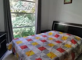 Apartaestudio cerca al parque principal
