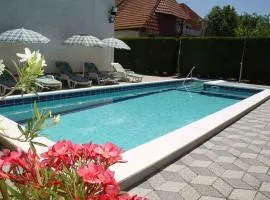 Holiday home in Balatonszarszo 45813
