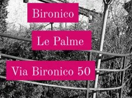 Le palme