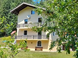 Haus am Schloss, apartment in Bleiburg