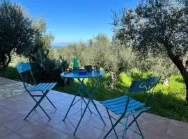 Peaceful home amongst olive groves by the sea
