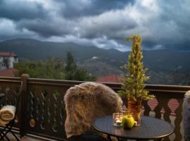 Dandy Villas Metsovo-Mezzo-Down Town-Up 5, ξενοδοχείο στο Μέτσοβο