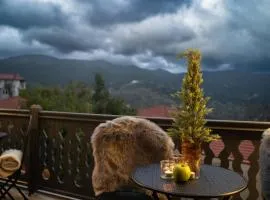 Dandy Villas Metsovo-Mezzo-Down Town-Up 5