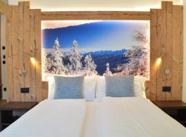 Aria Alpina Guest House Affittacamere, hotell sihtkohas Predazzo