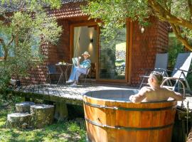 Hotel y Termas Huife, hotel v destinaci Termas De Huife