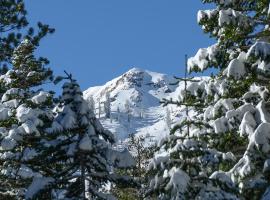 Big John at Alpine Meadows- Mountain Views, Cozy Fireplace, Shuttle to Slopes!, hotell sihtkohas Alpine Meadows