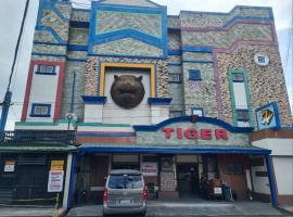 Tiger Hotel: Angeles şehrinde bir otel