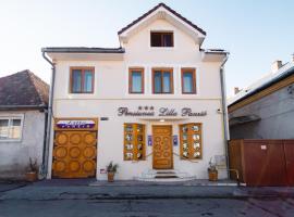 Lilla Panzió, guest house in Odorheiu Secuiesc