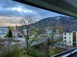 Allgäuer Alpenwohnung