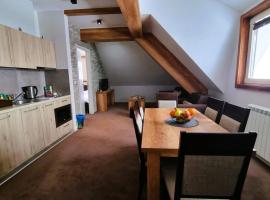 FEMI Kopaonik Apartment, Župa Aparthotel, Kopaonik Center