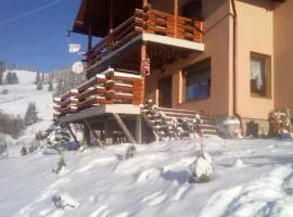 Cabana Gabriel Bucovina