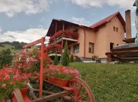 Cabana Gabriel Bucovina
