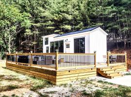 Tiny Home Big Fun, hytte i Knoxville
