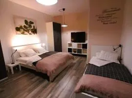apartma Vila TARA