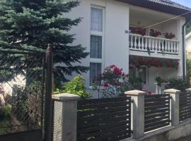 Pensiunea Grapini, bed and breakfast en Şanţ