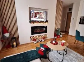 Apartman Cvetković, Vila Elsa III
