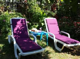 Apartments Paco & Bony